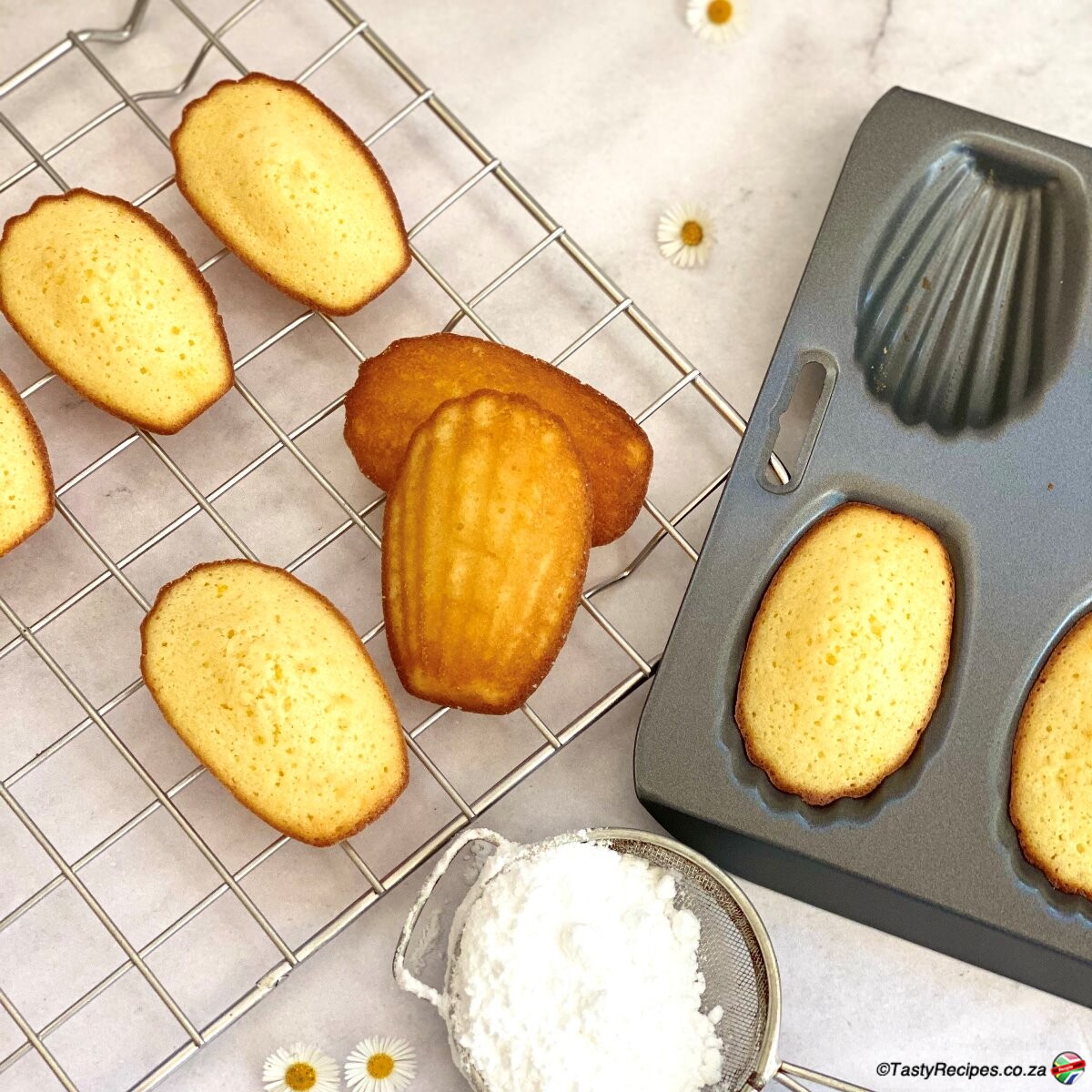 MADELEINES