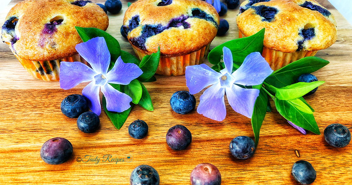 BLUEBERRY-MUFFINS-TR