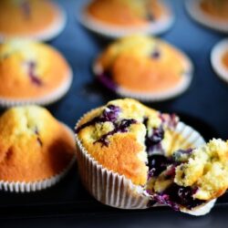 blue berry muffin recipe